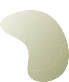 https://asiacampus.org/wp-content/uploads/2020/08/floating_image_08.png